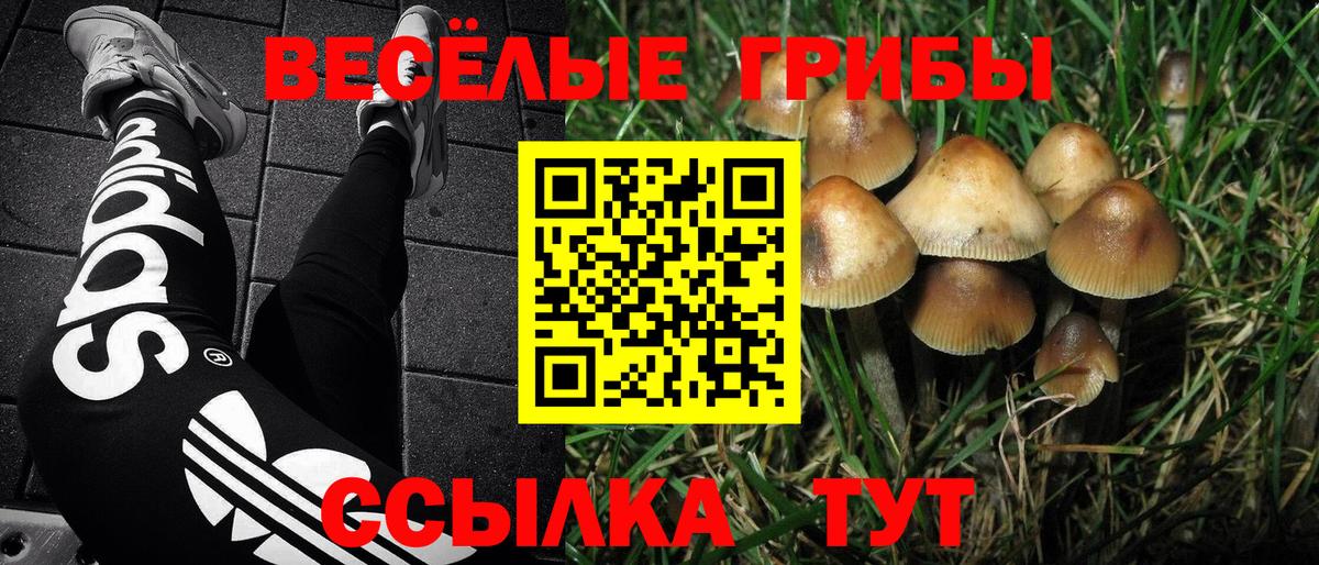 Псилоцибиновые грибы прущие грибы  Галлюциногенные грибы Psilocybe  Вход с VPN  Ярцево 