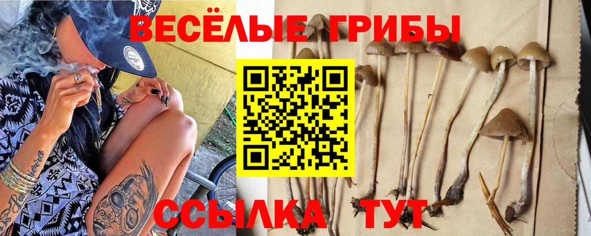 Псилоцибиновые грибы ЛСД Ярцево